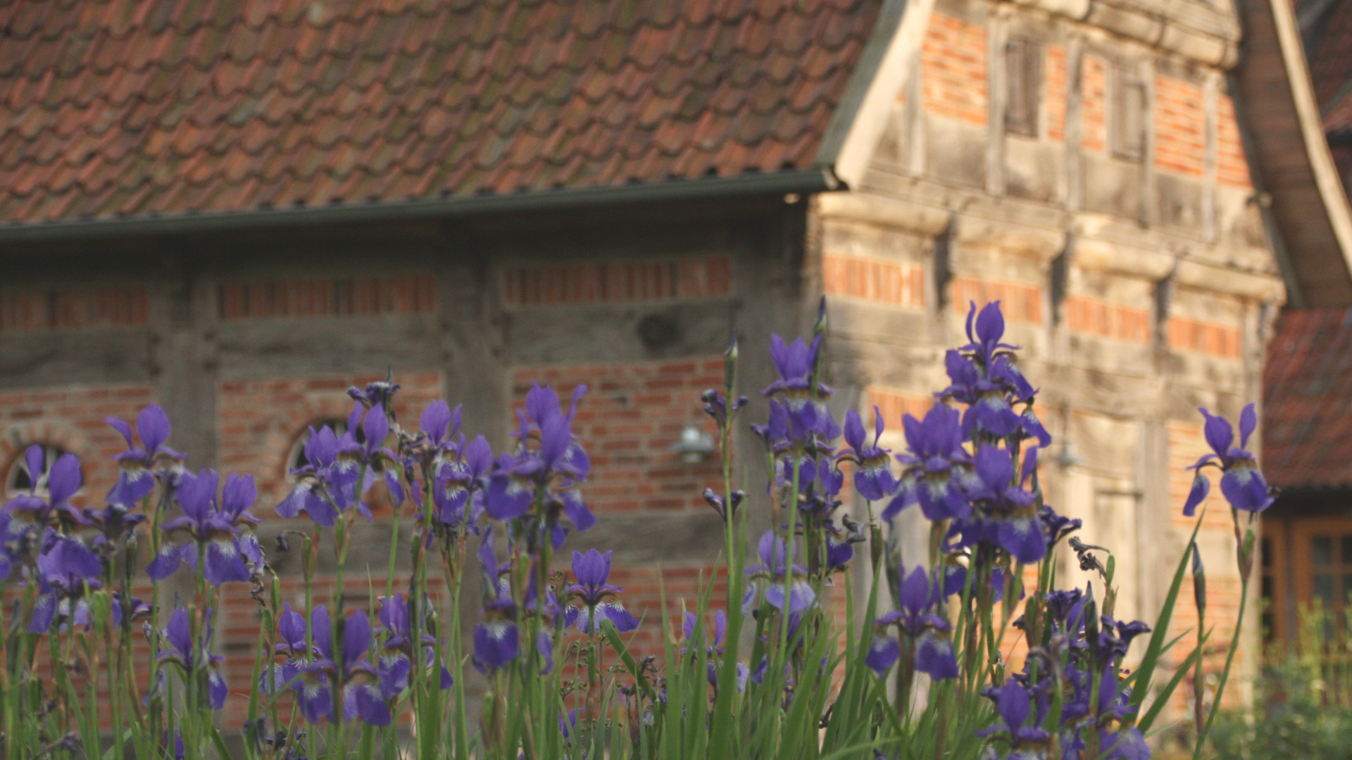 Bauerngarten am Brockwischenhus