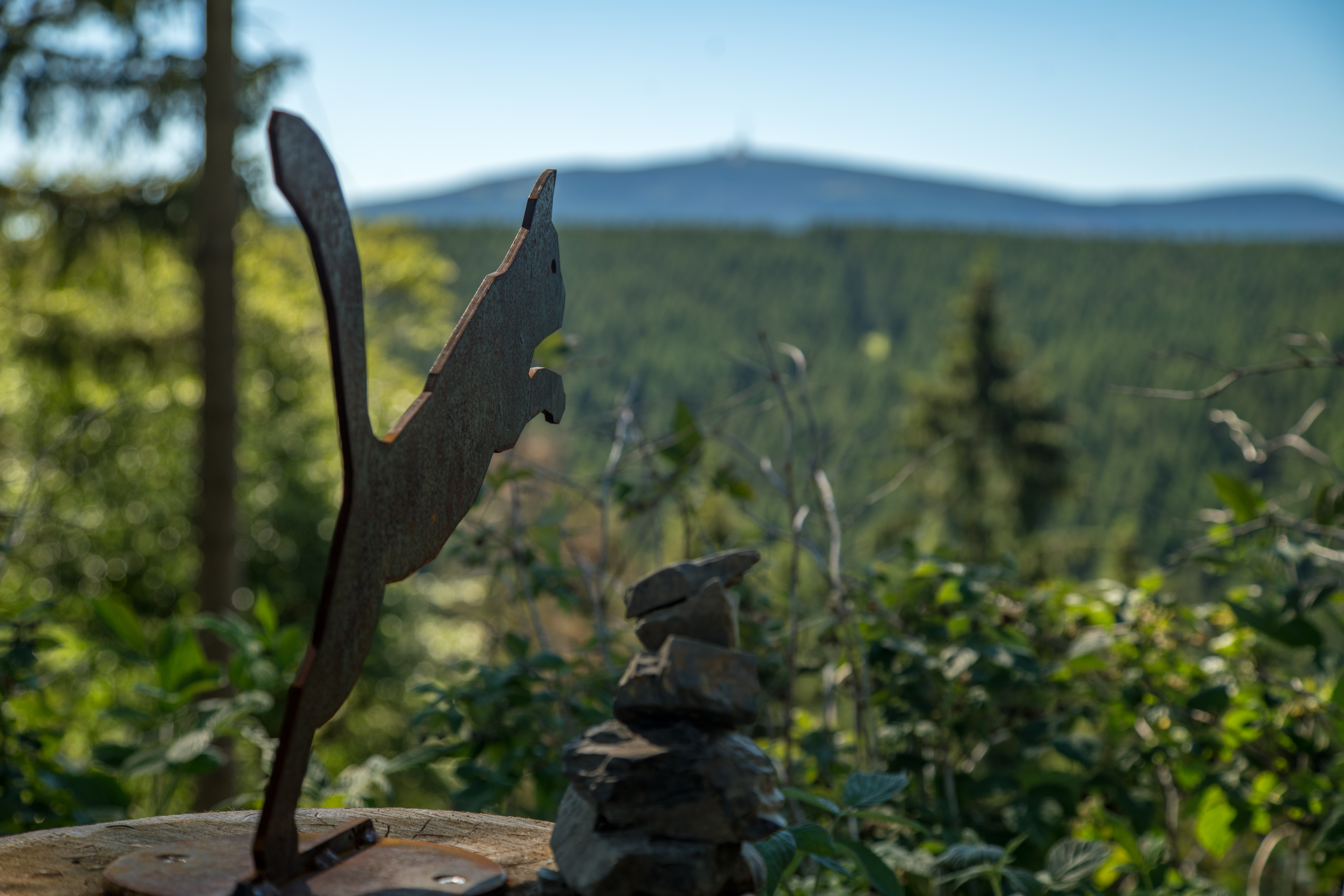 Wildkatzen- Walderlebnispfad