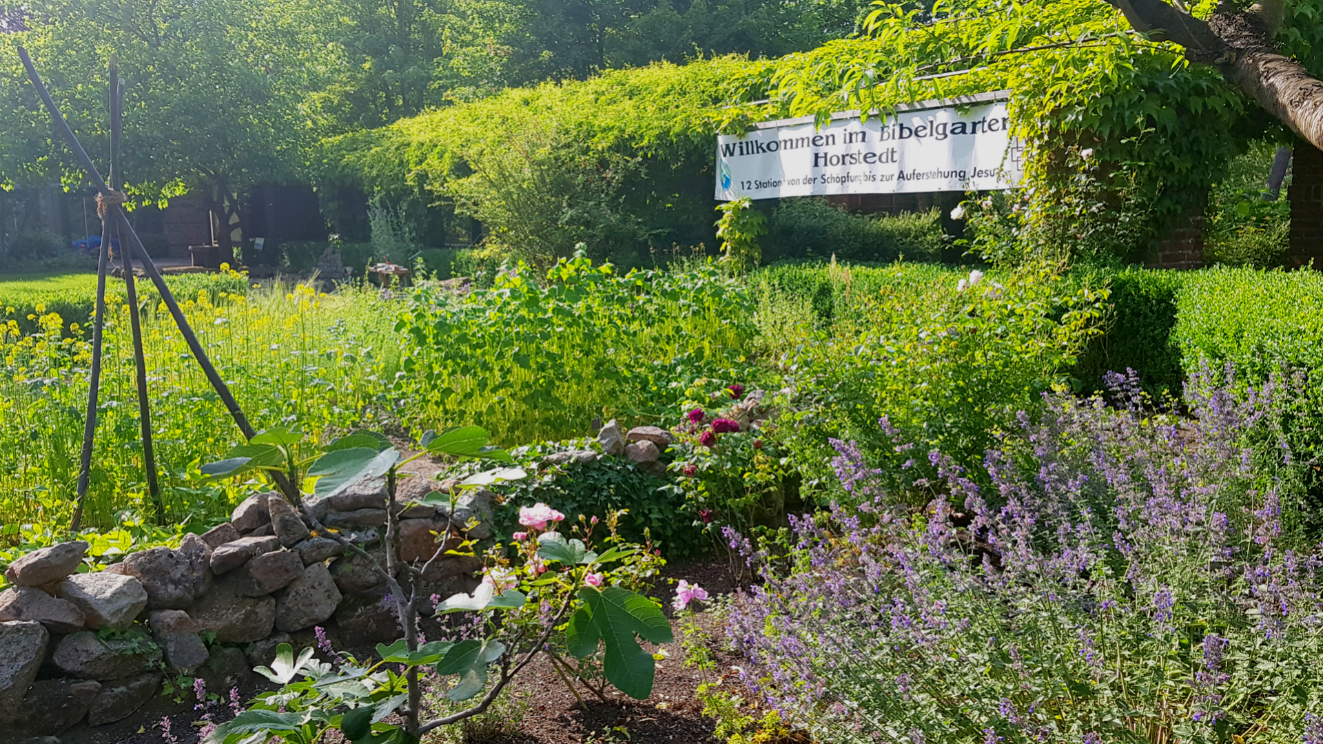 Bibelgarten Horstedt