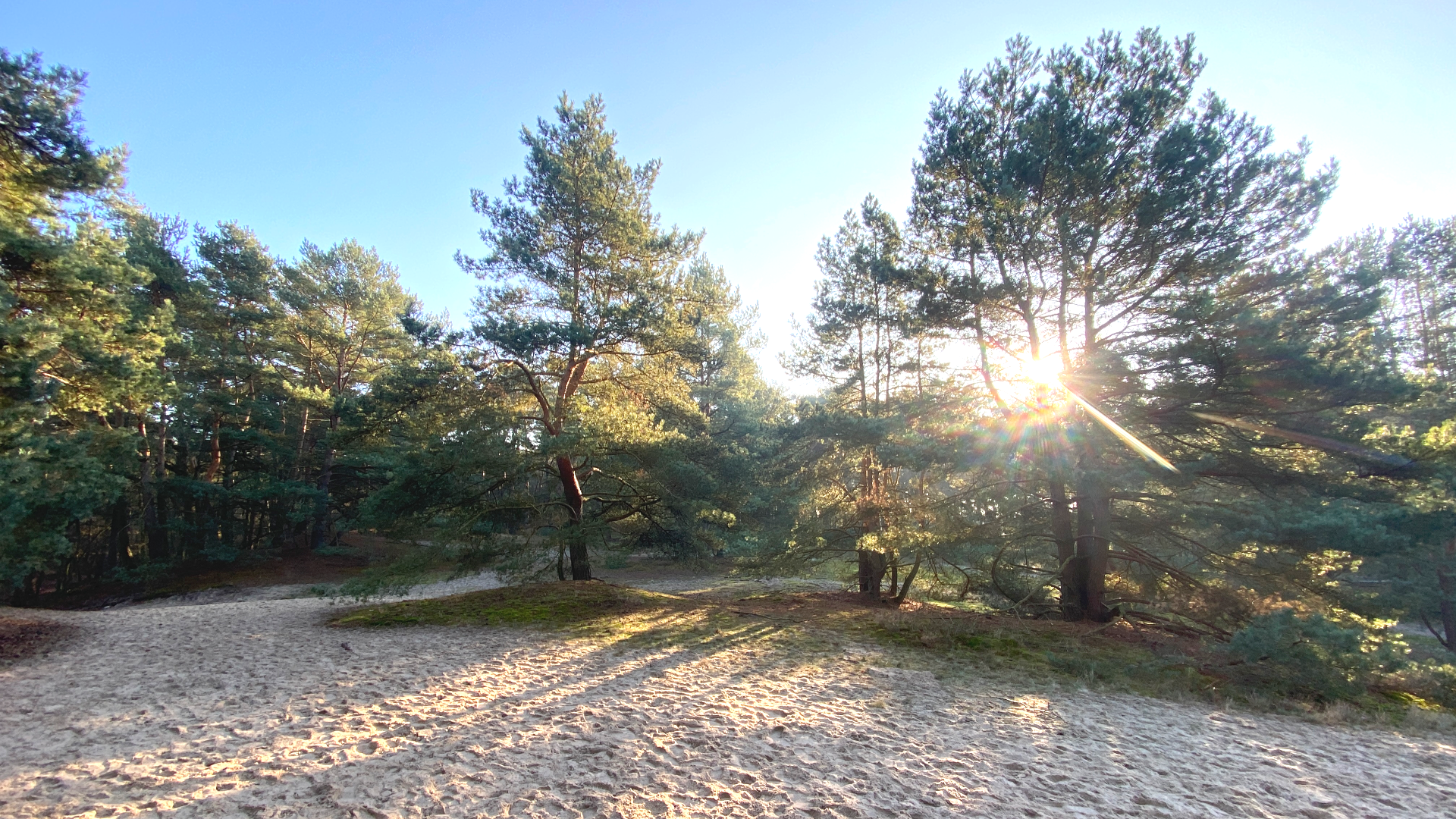 Naturschutzgebiet Voßberge