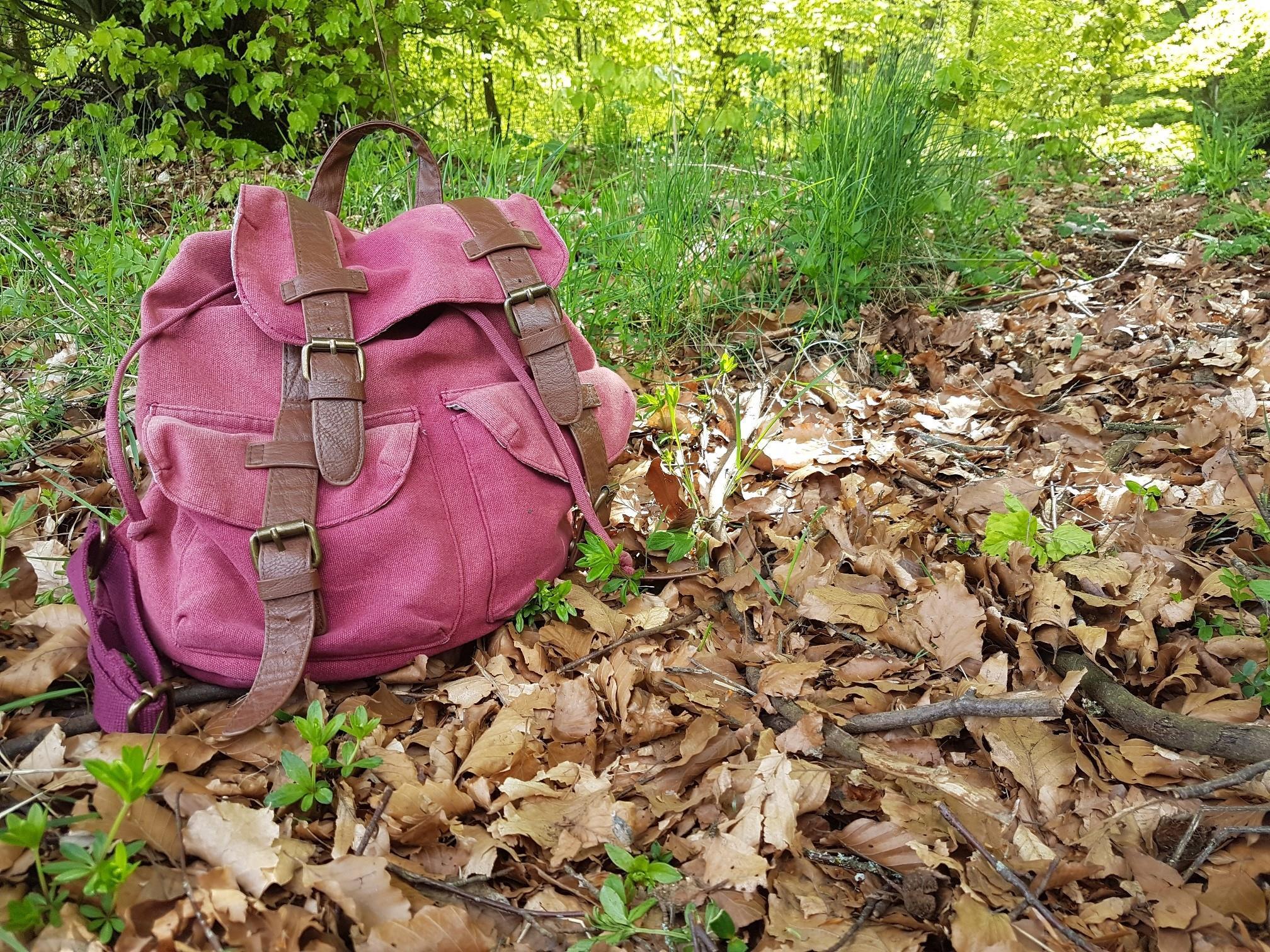 Wandern rund um Niederkail / Eifel