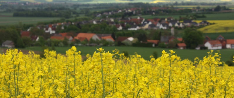 Sülbeck