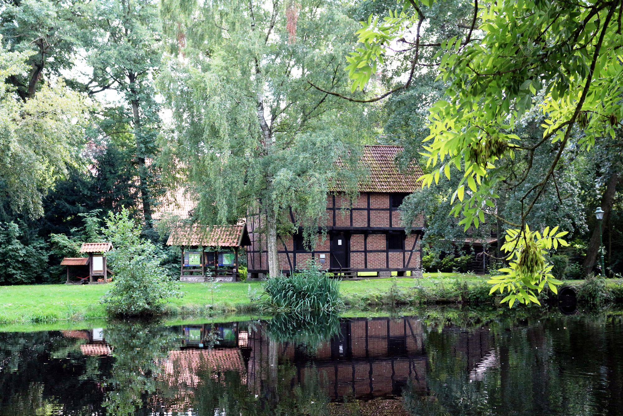 Walderlebnispfad "Brücken durchs Moor" Knesebeck