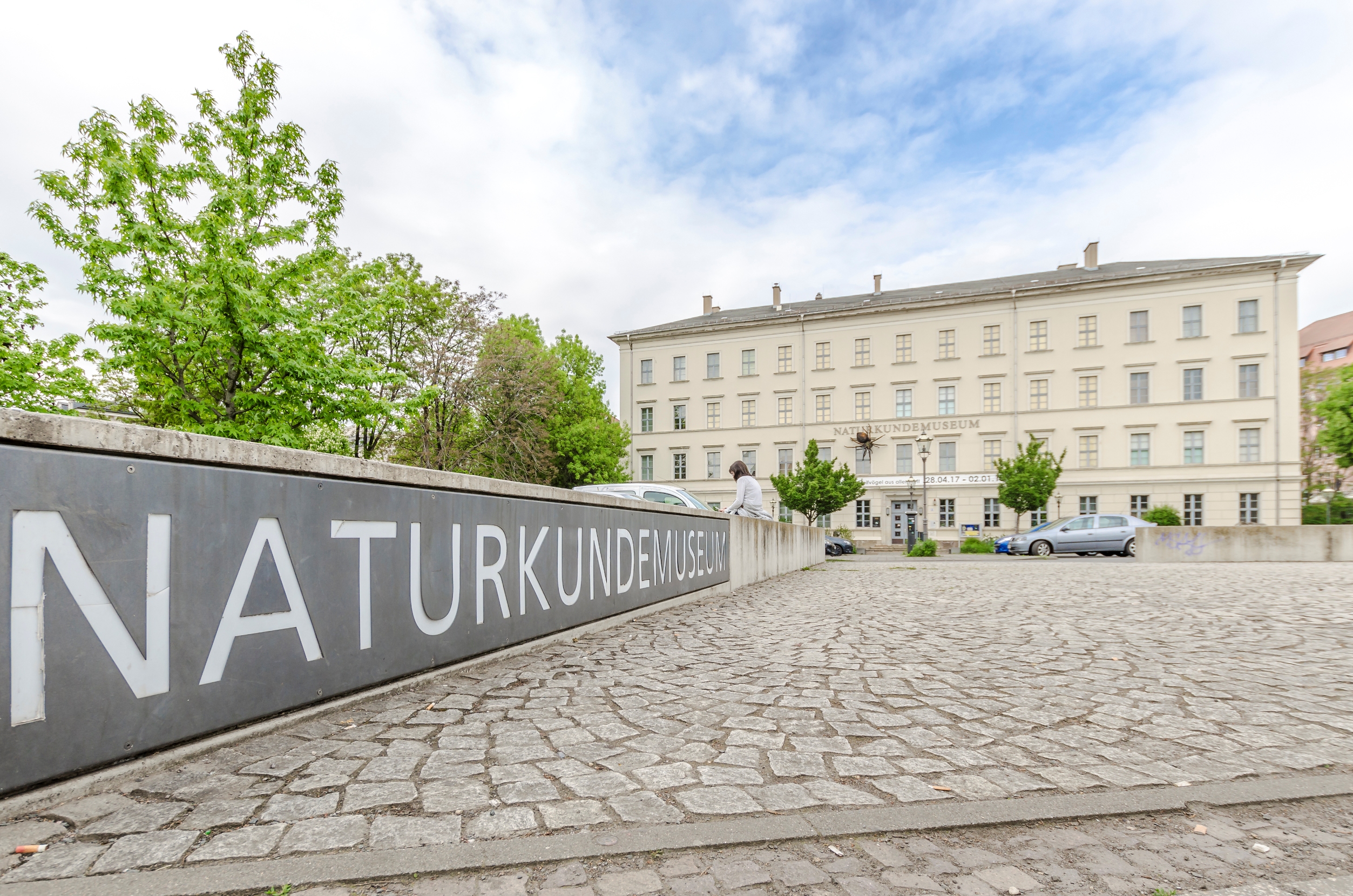 Naturkundemuseum – Motiv