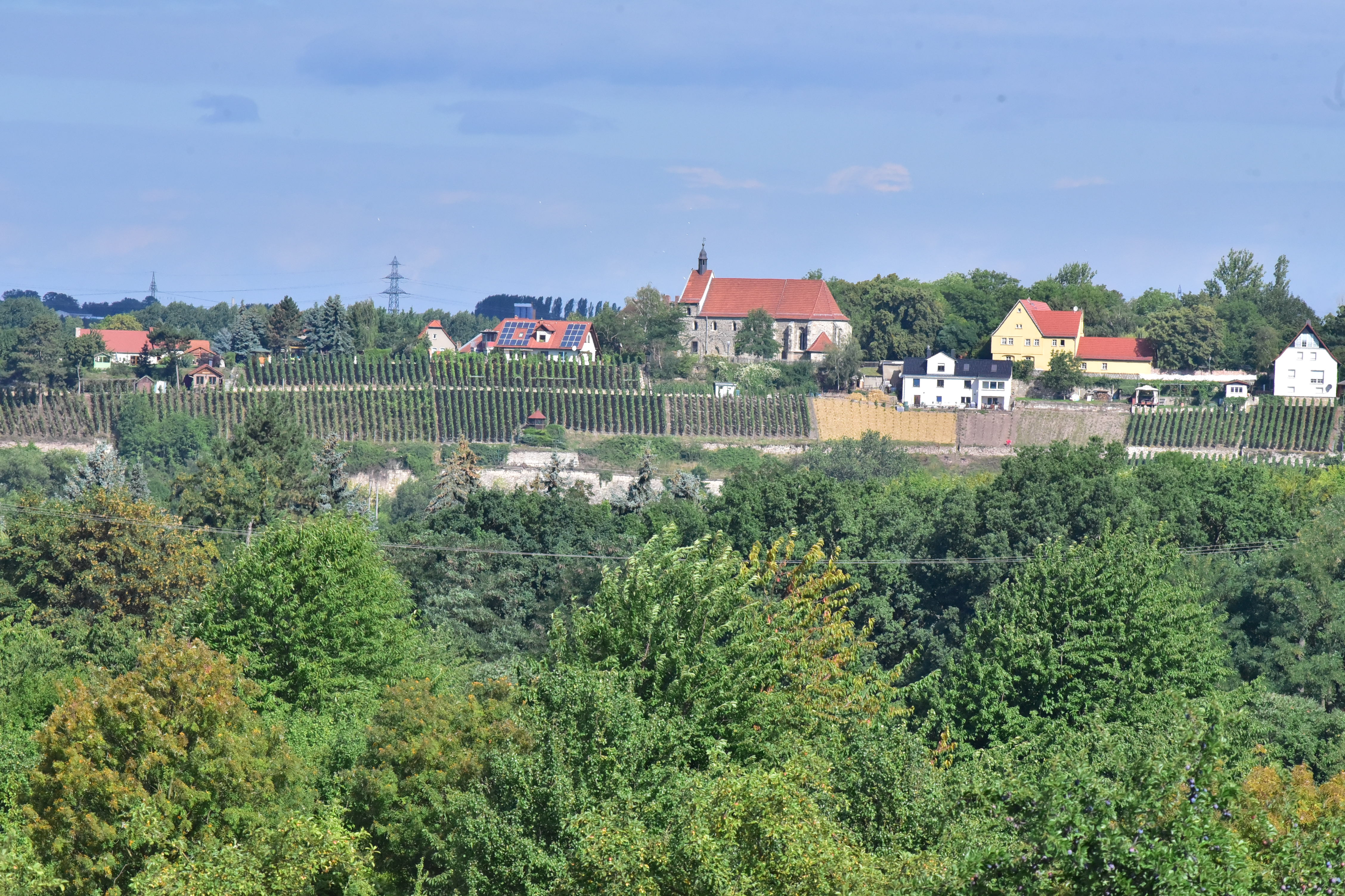 Tag der offenen Weinberge am "Burgwerbener Herzogsberg"