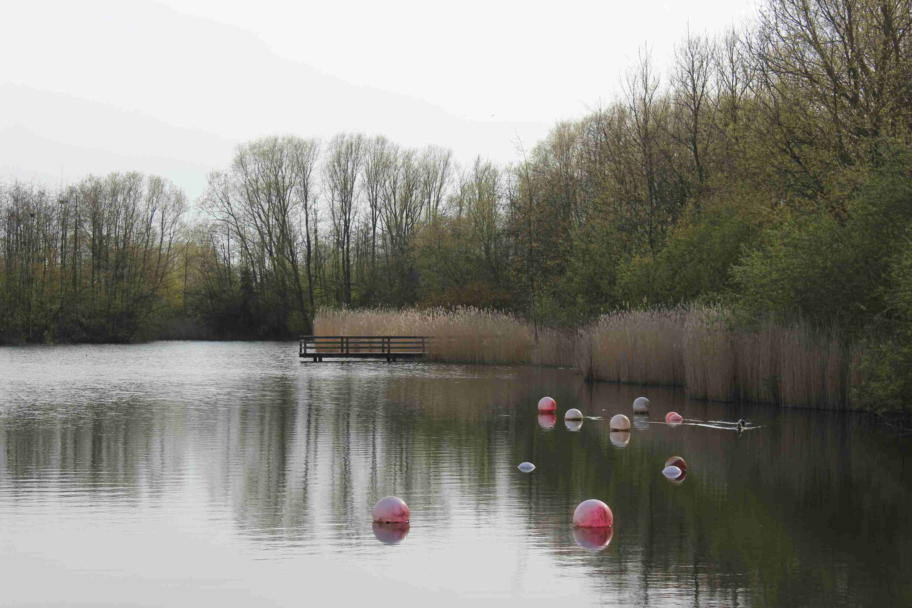 Kanusteg am Südsee