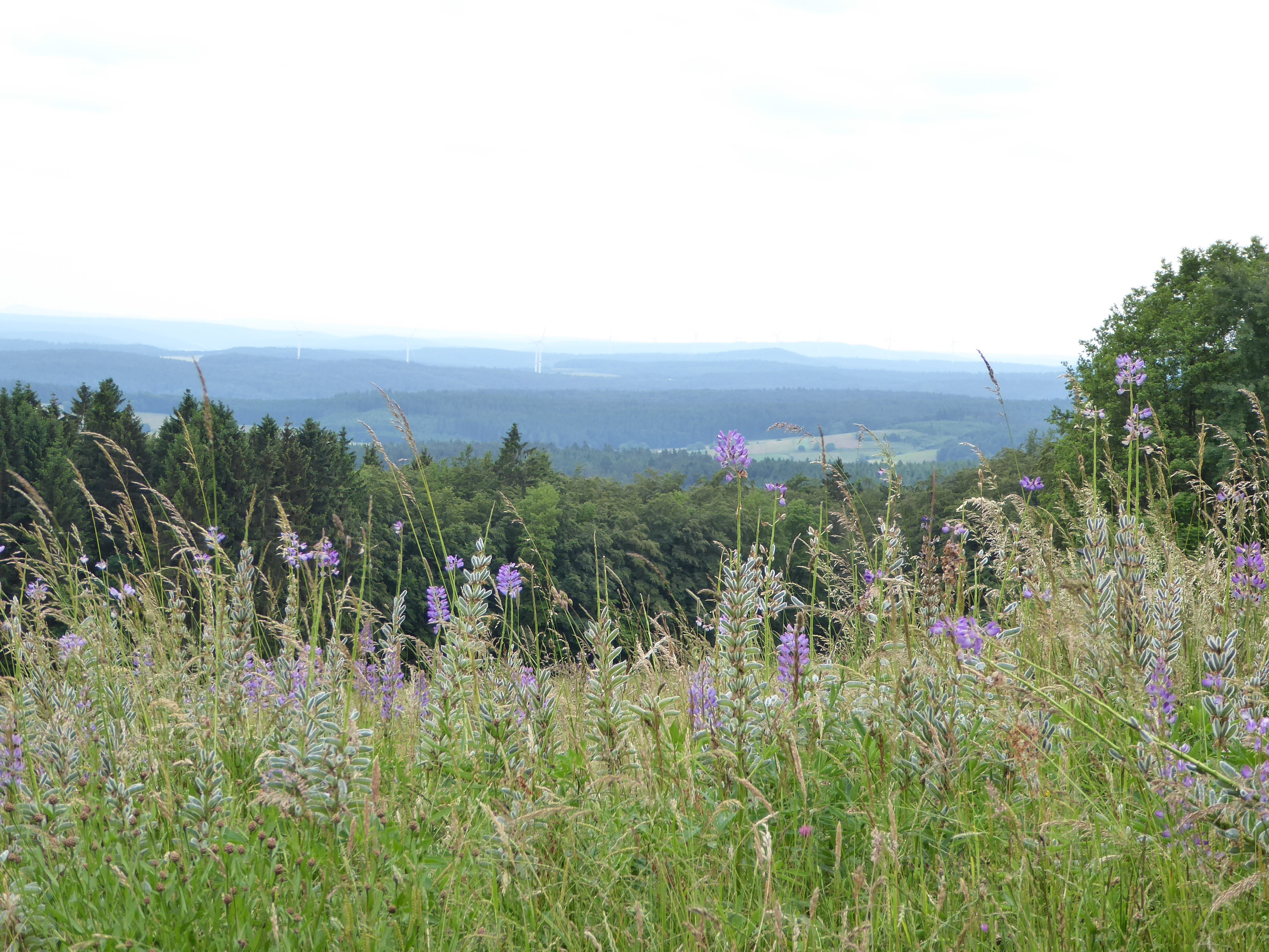 Wandern im Winter