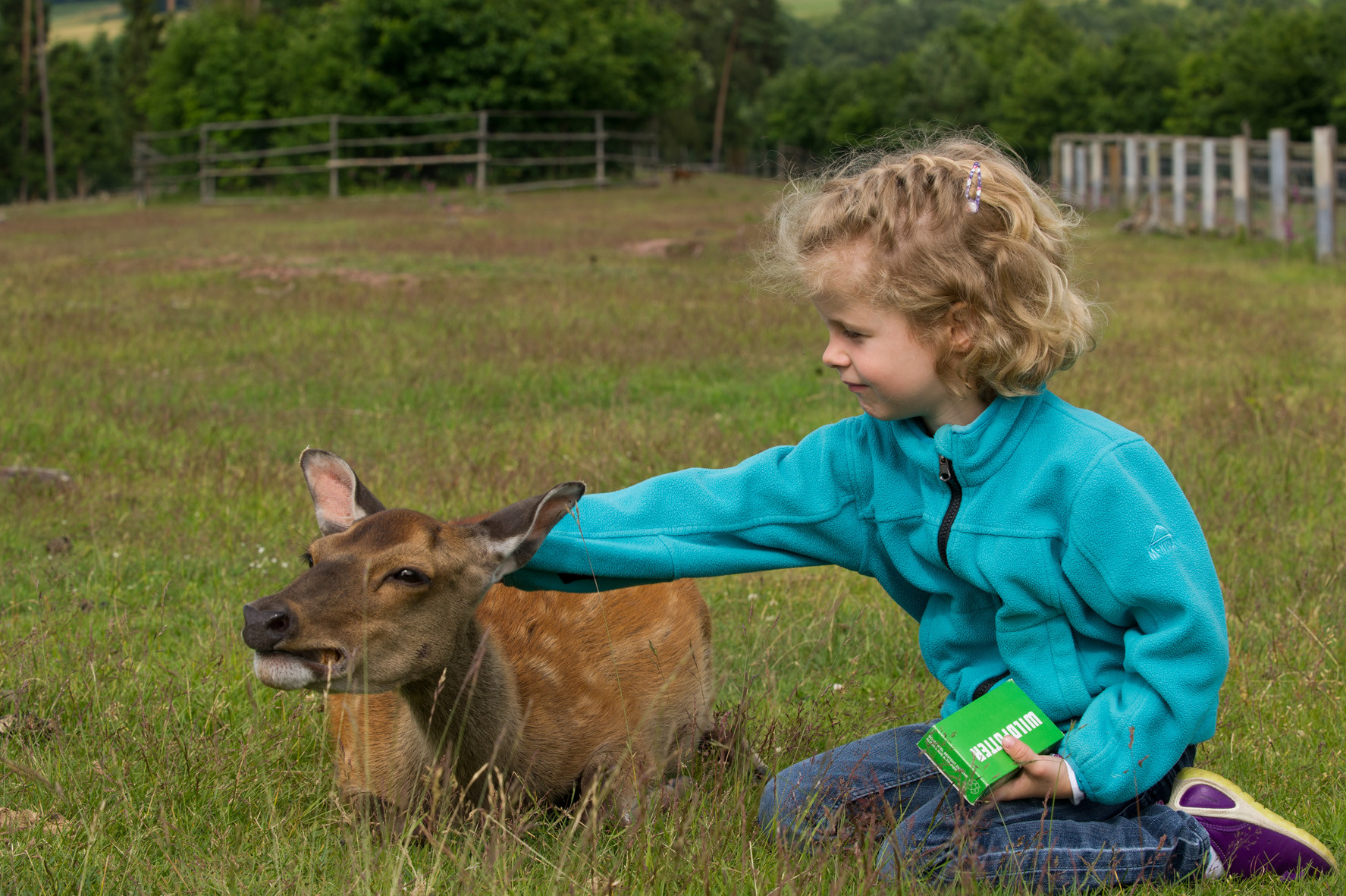 Wildpark Frankenberg (Eder)