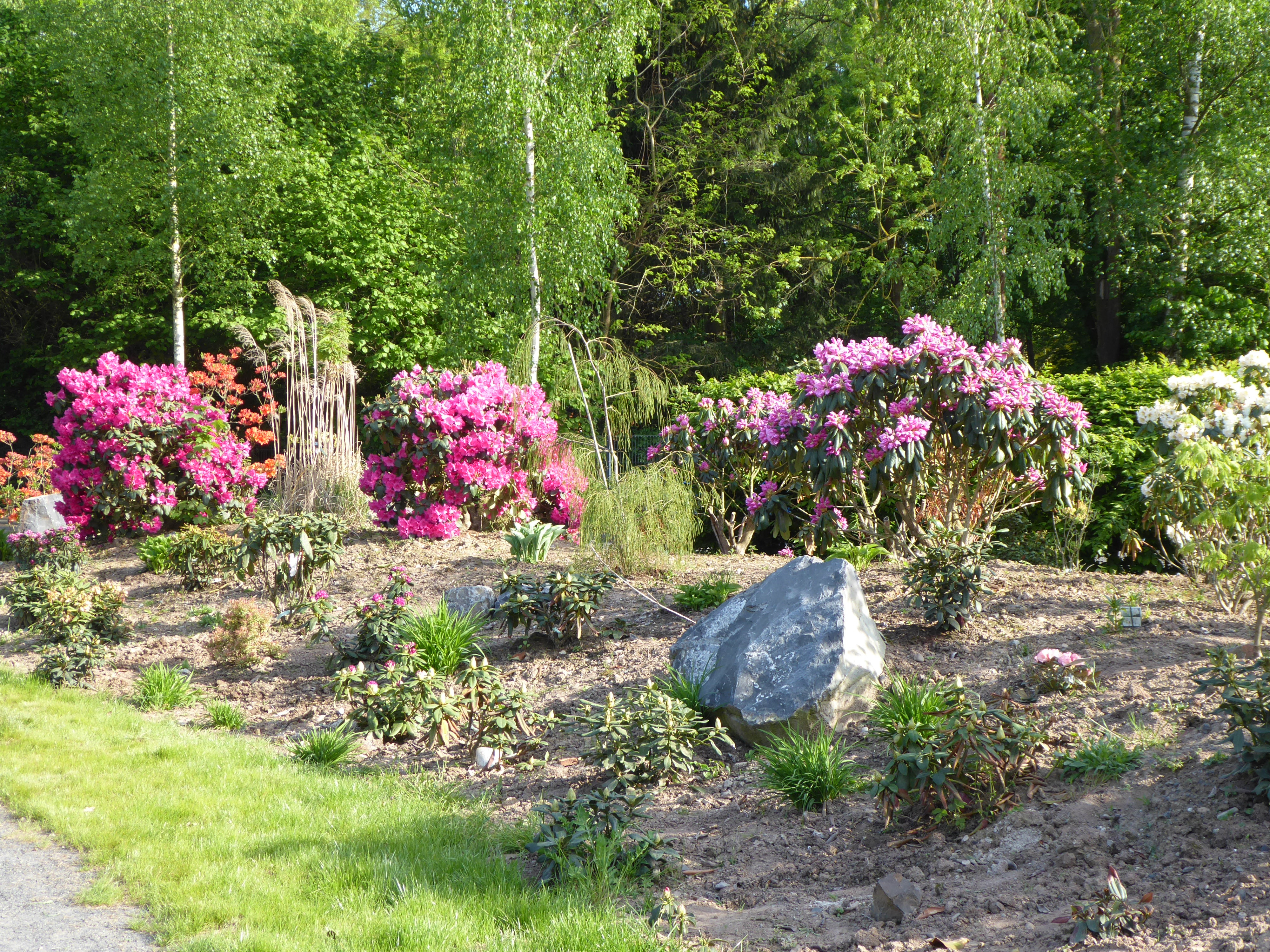 Rhododendrongarten