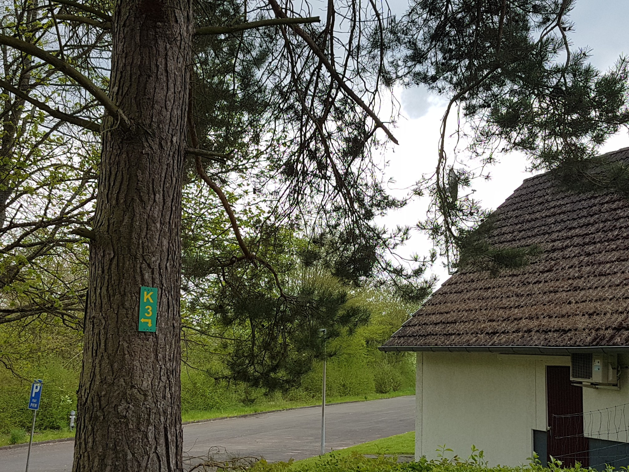 Wanderweg direkt am Ferienhausgebiet im Seepark Kirchheim