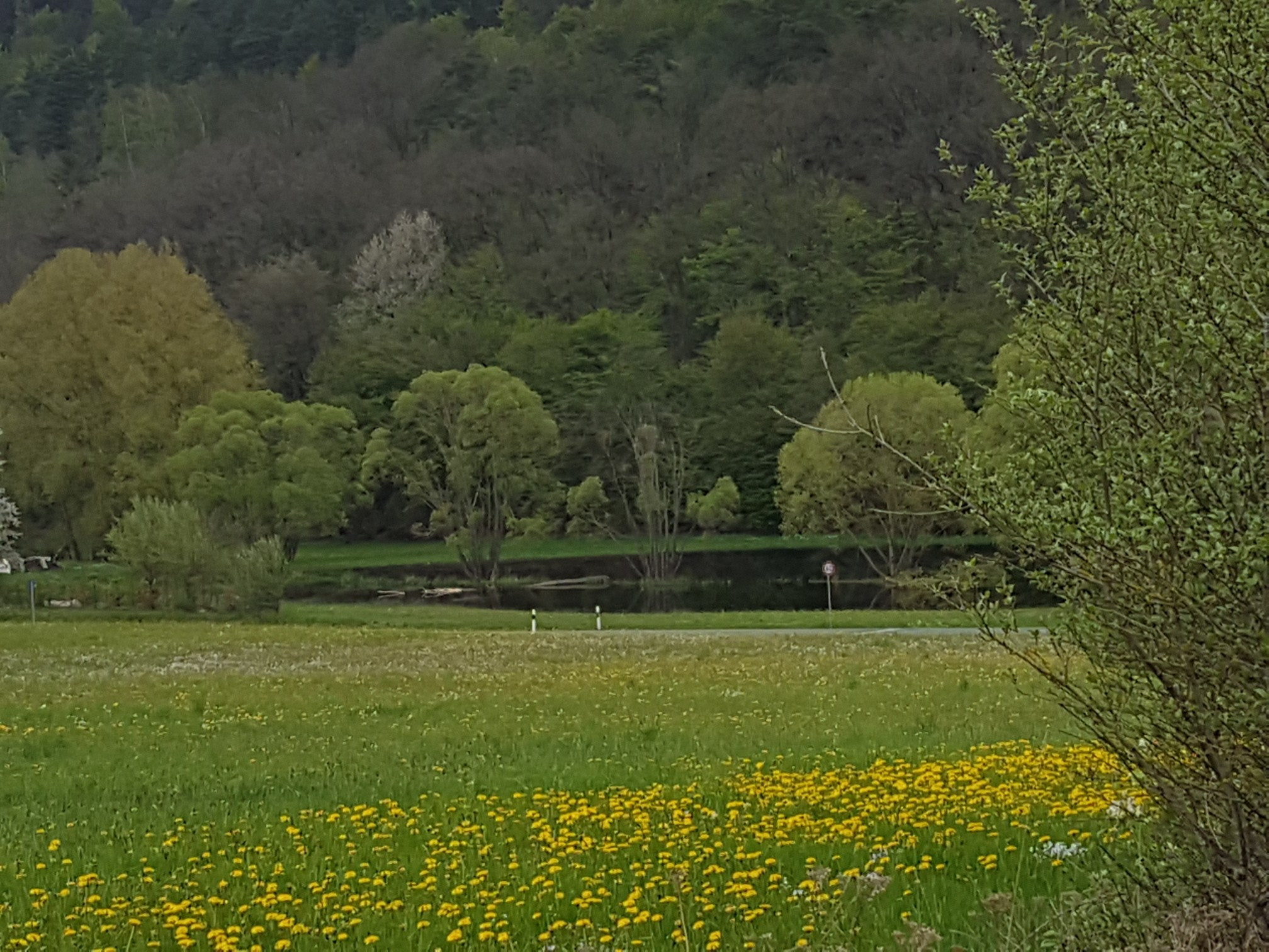 Biber Biotop am Seepark Kirchheim