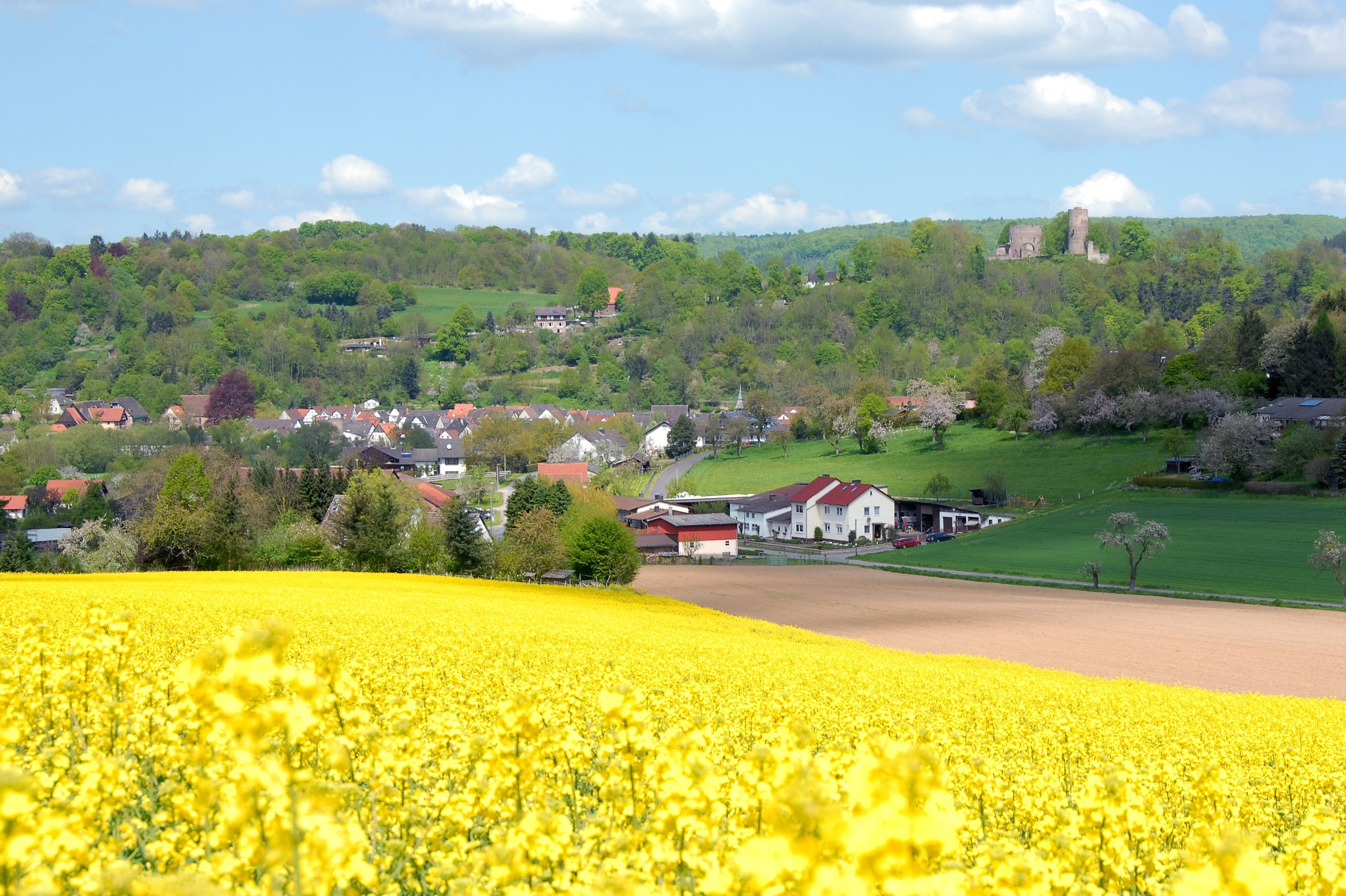 Blick auf Helmarshausen mit Krukenburg
