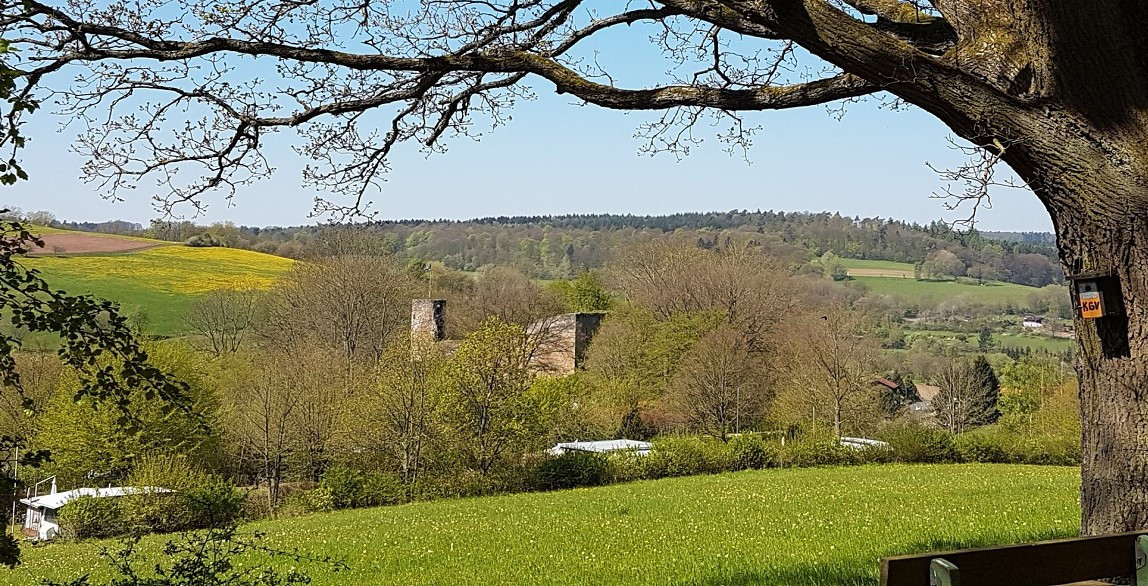 Burgruine Wallenstein