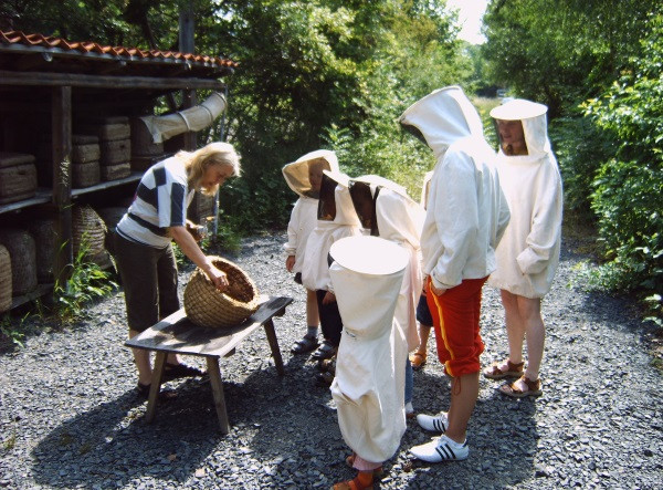 Lebendiges Bienenmuseum