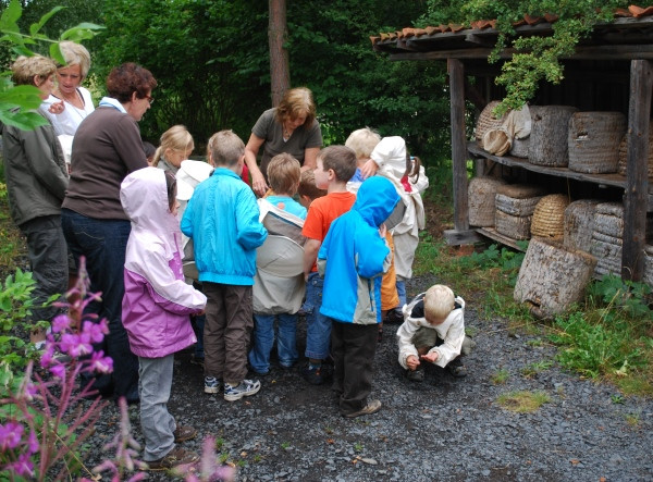 Lebendiges Bienenmuseum