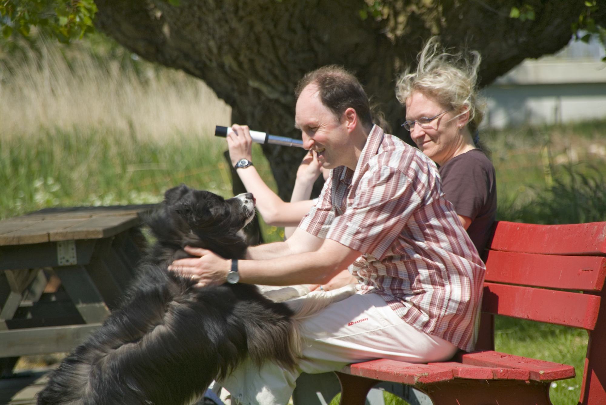 Hundeschule Hund-Mensch-Team