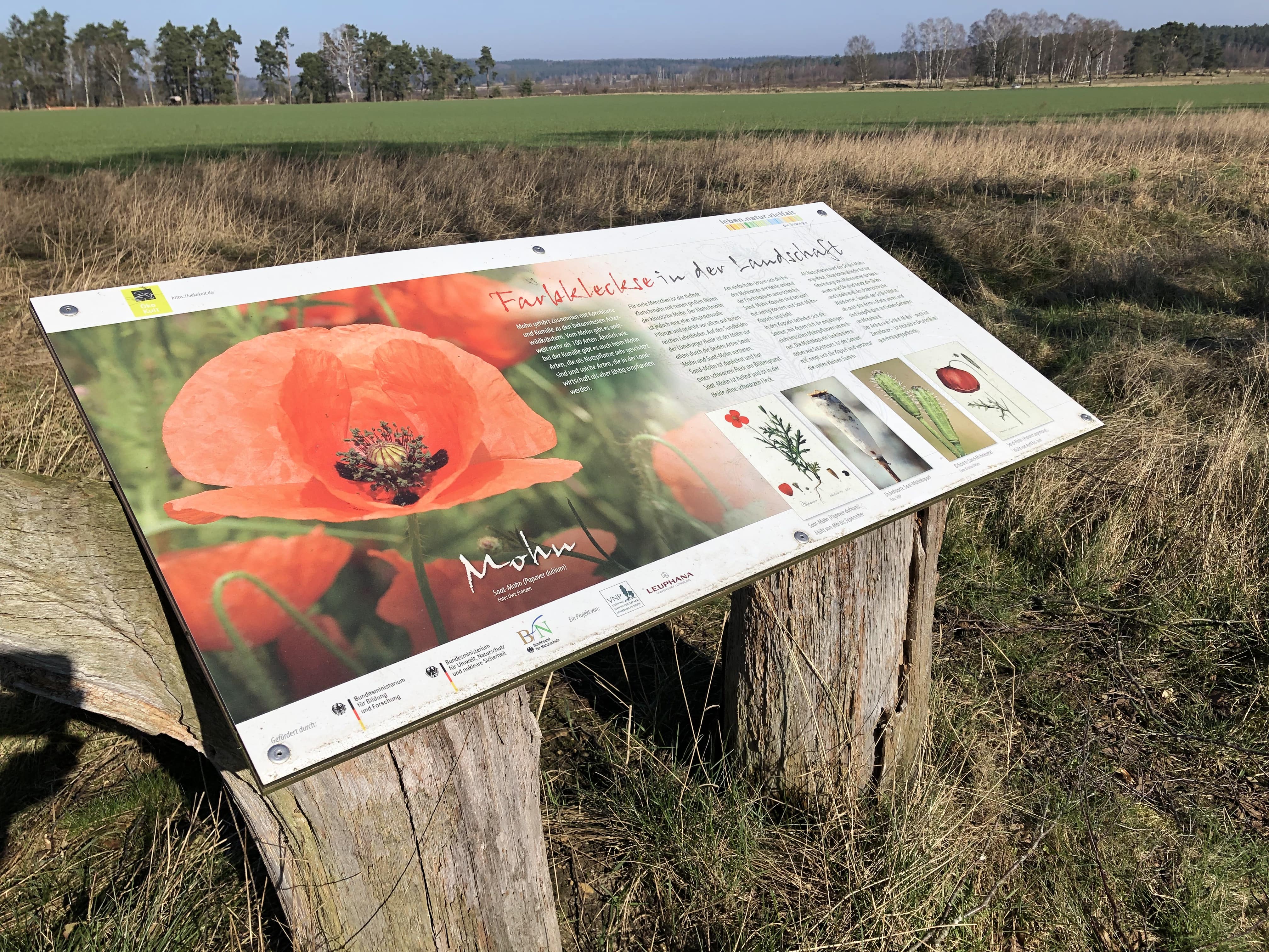 Ackerwildkrautpfad