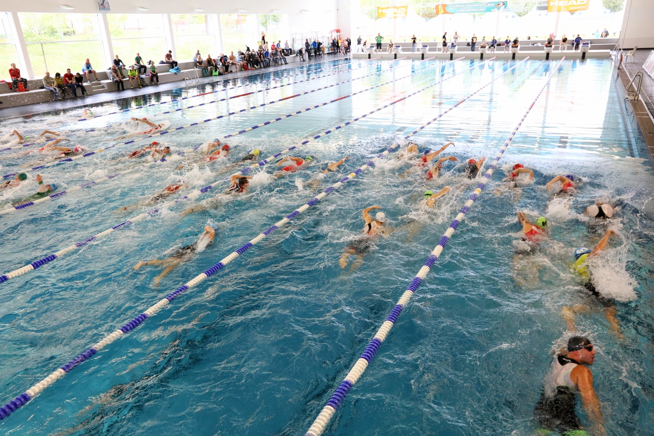 13. Zwickauer Triathlon