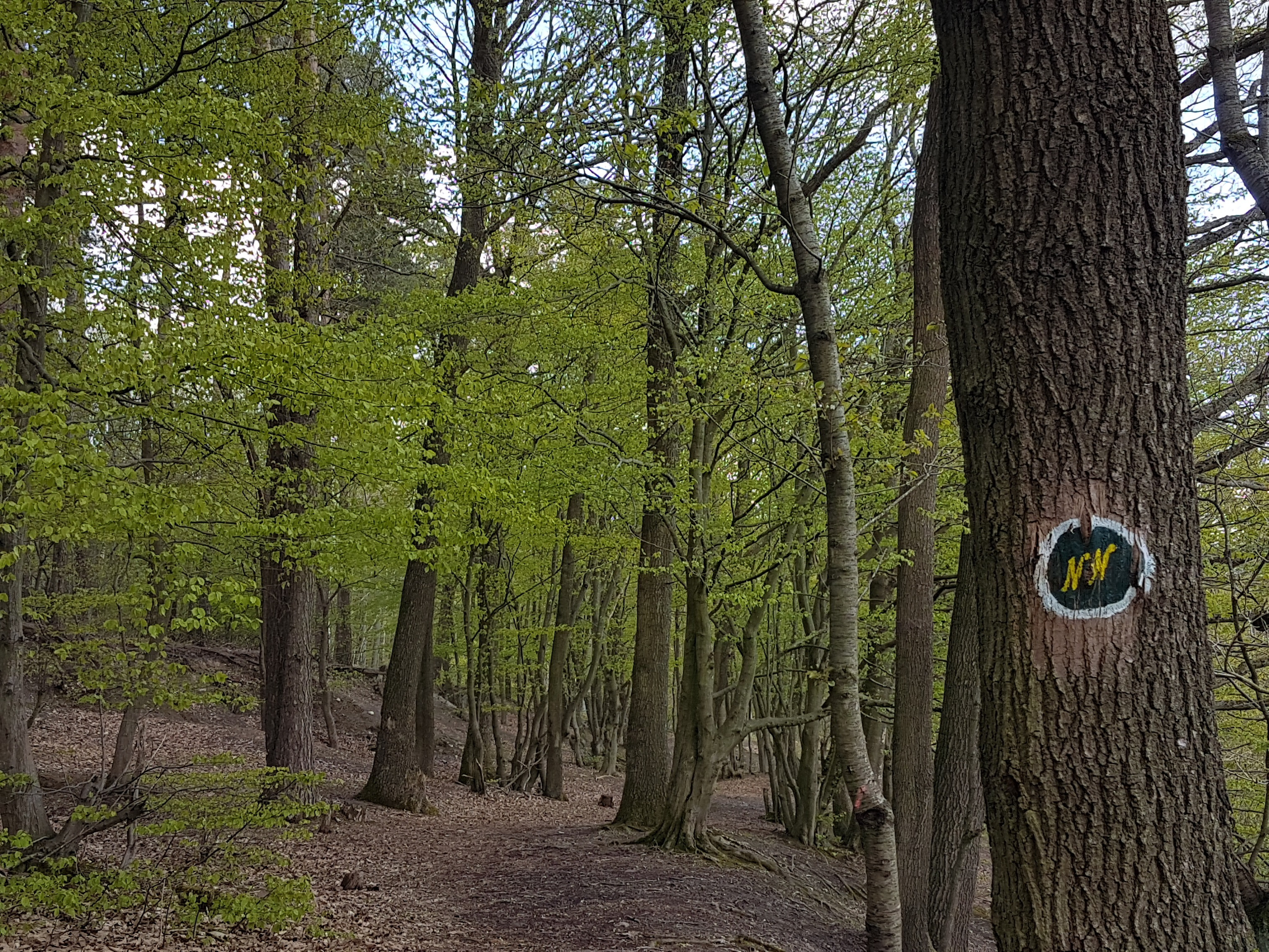 Frühling am Nuff und Nopp