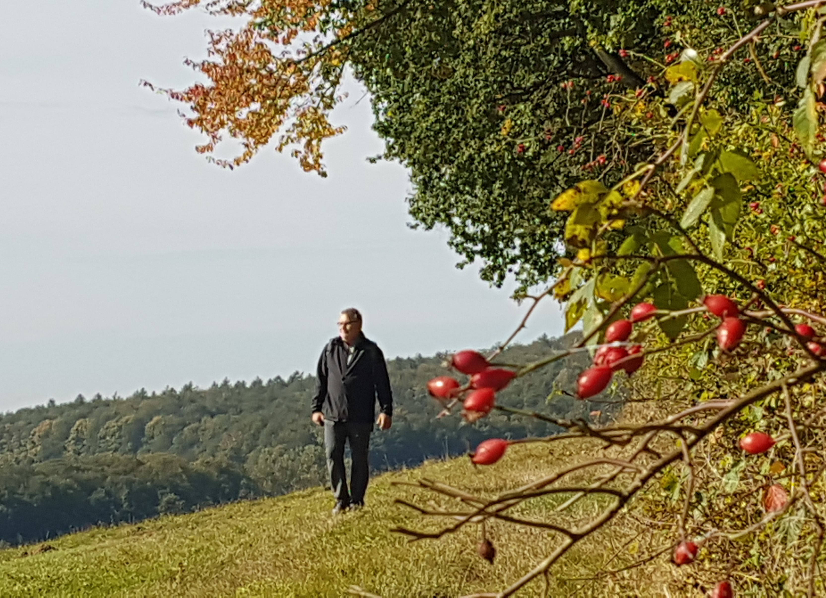 Wandern am Waldrand im Herbst