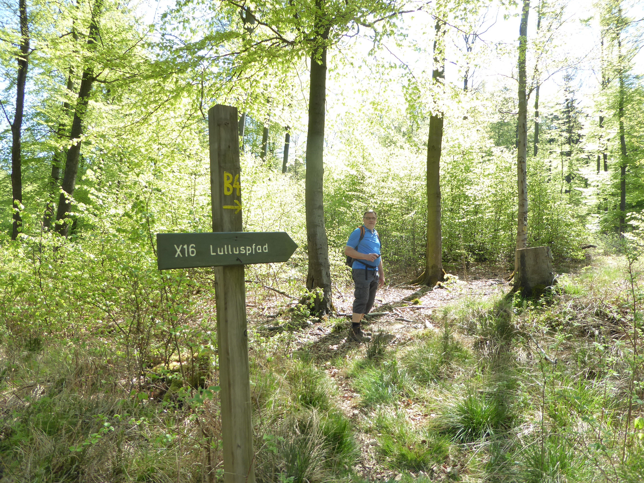 Lulluspfad Etappe Bergfreiheit - Schlierbach