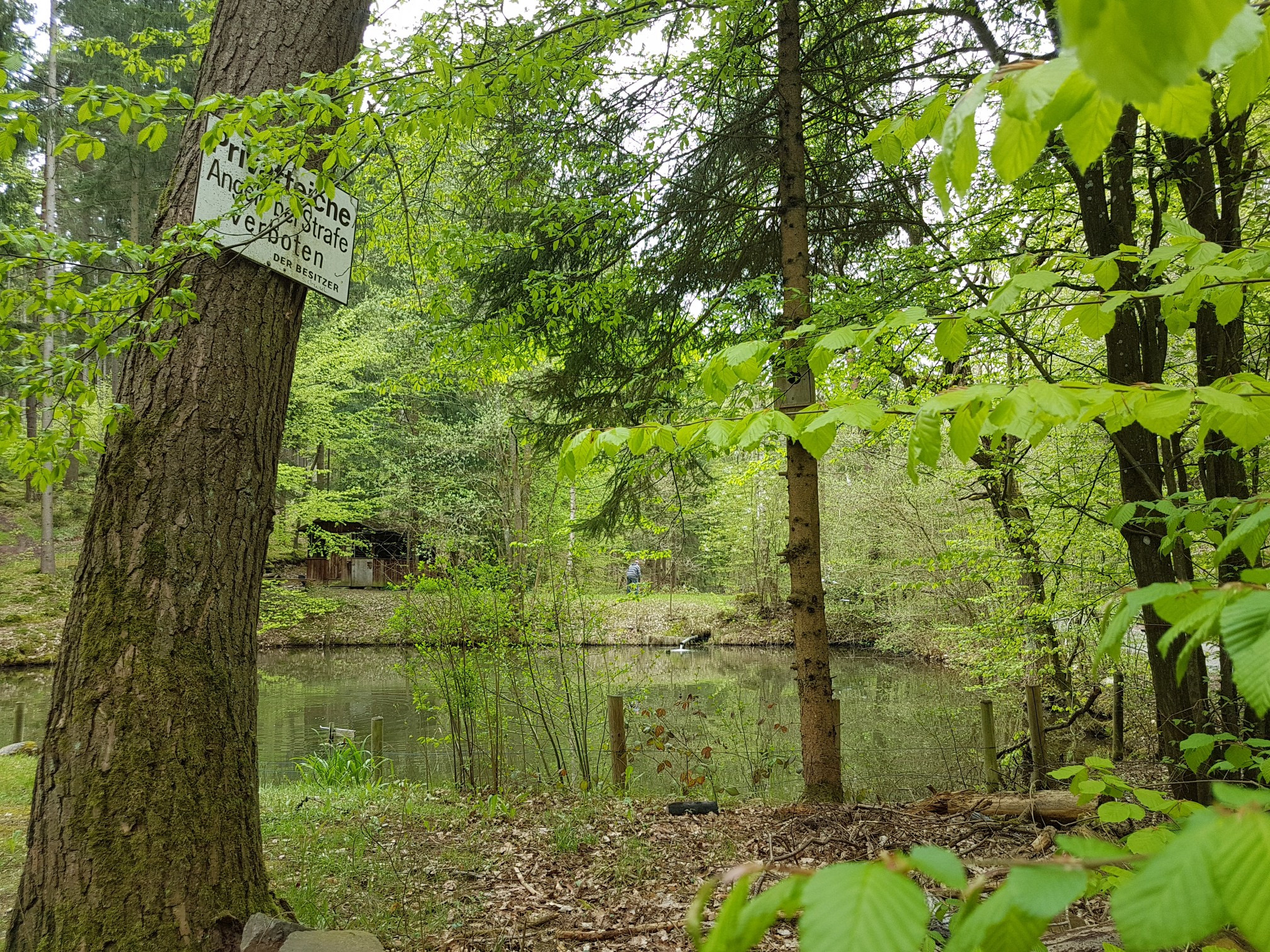 Teichanlage am Seepark