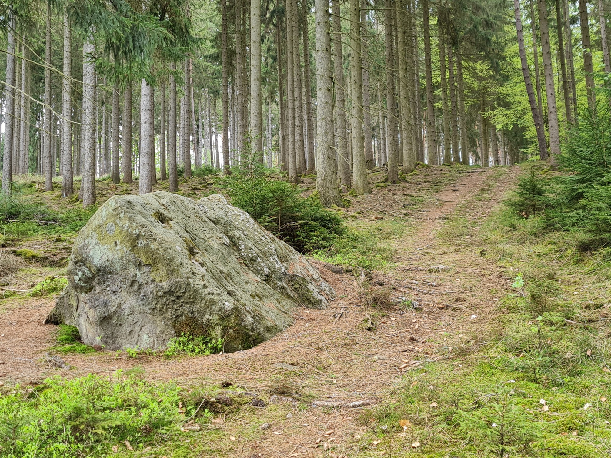 Der Riesenstein