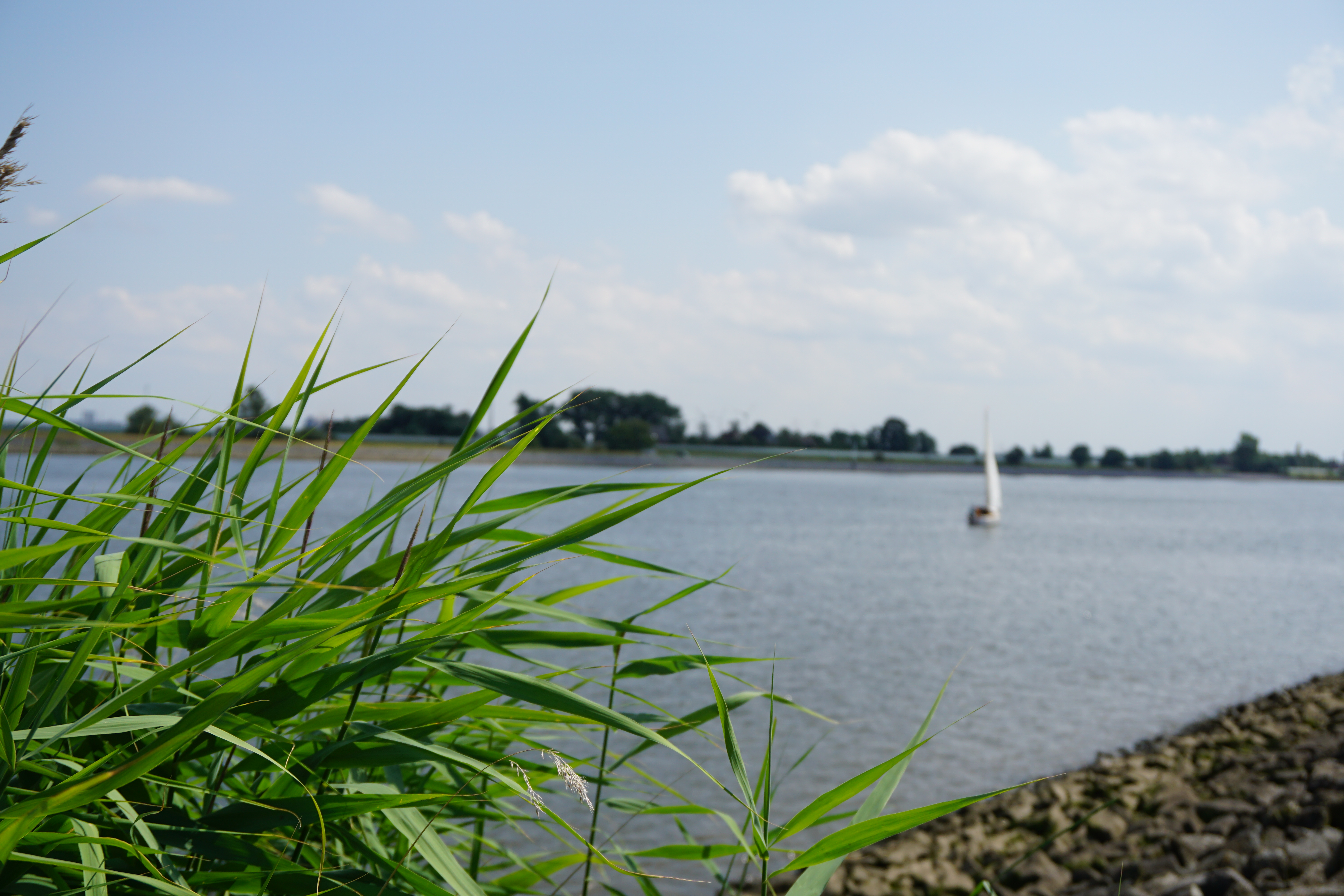 Wasser und Weite