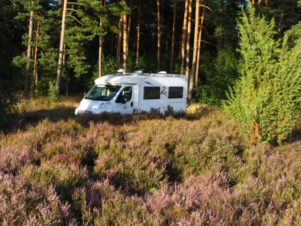 Stellplatz Schwindebecker Heide