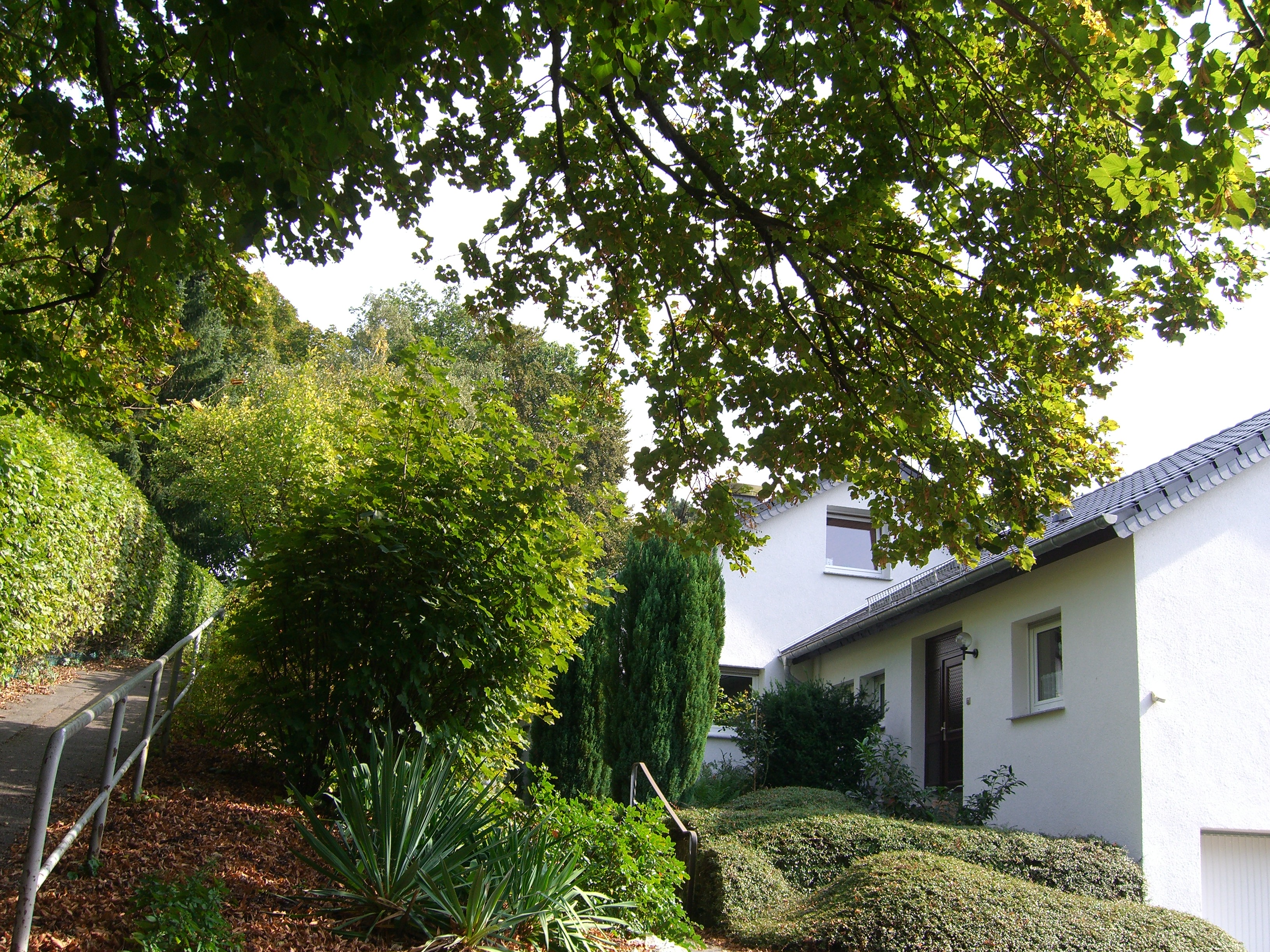 Ferienhaus Moock, Horn-Bad Meinberg