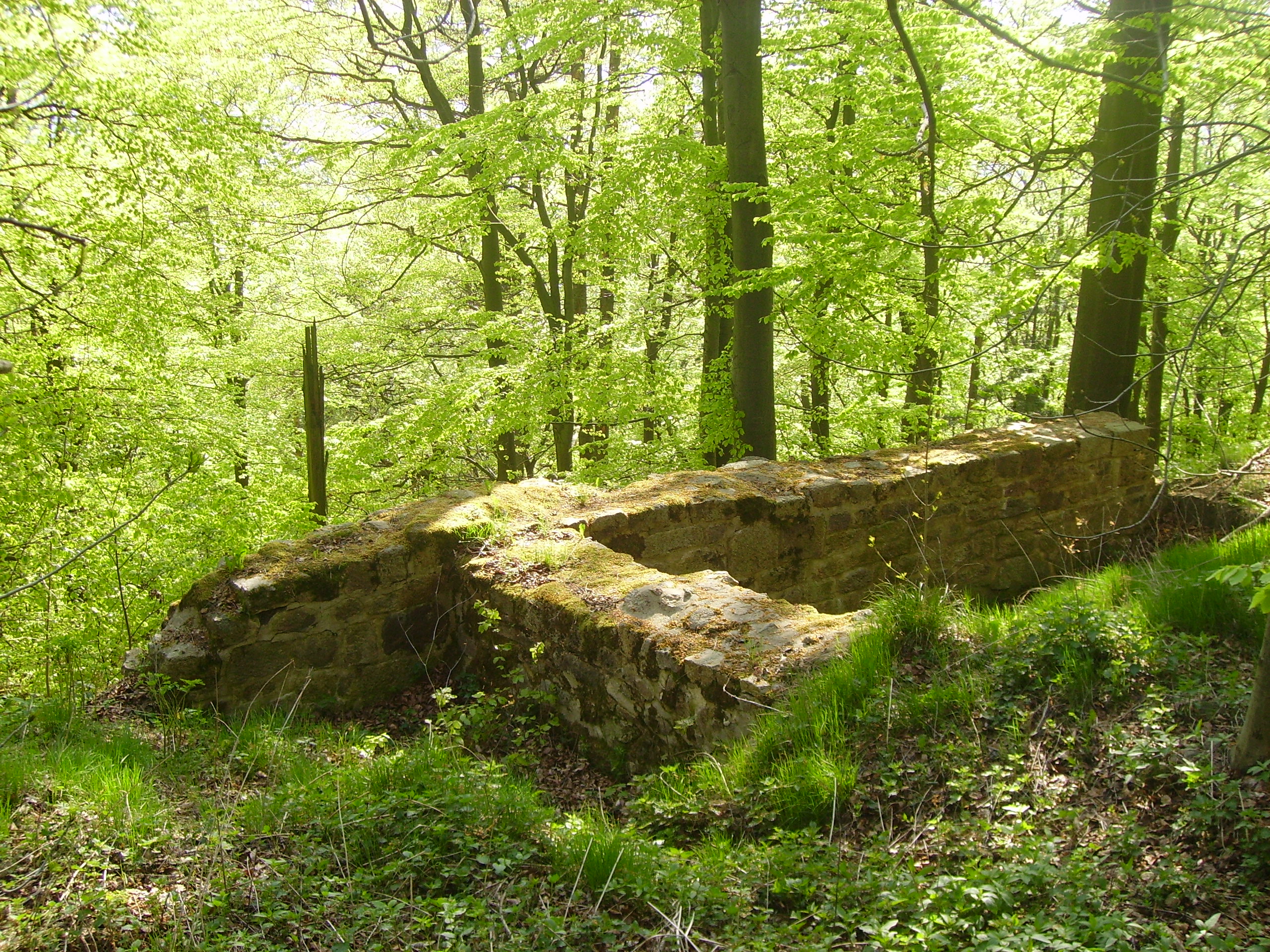 Burgstall am Warberg Oberpfälzer Wald Ihr Urlaub in Bayern