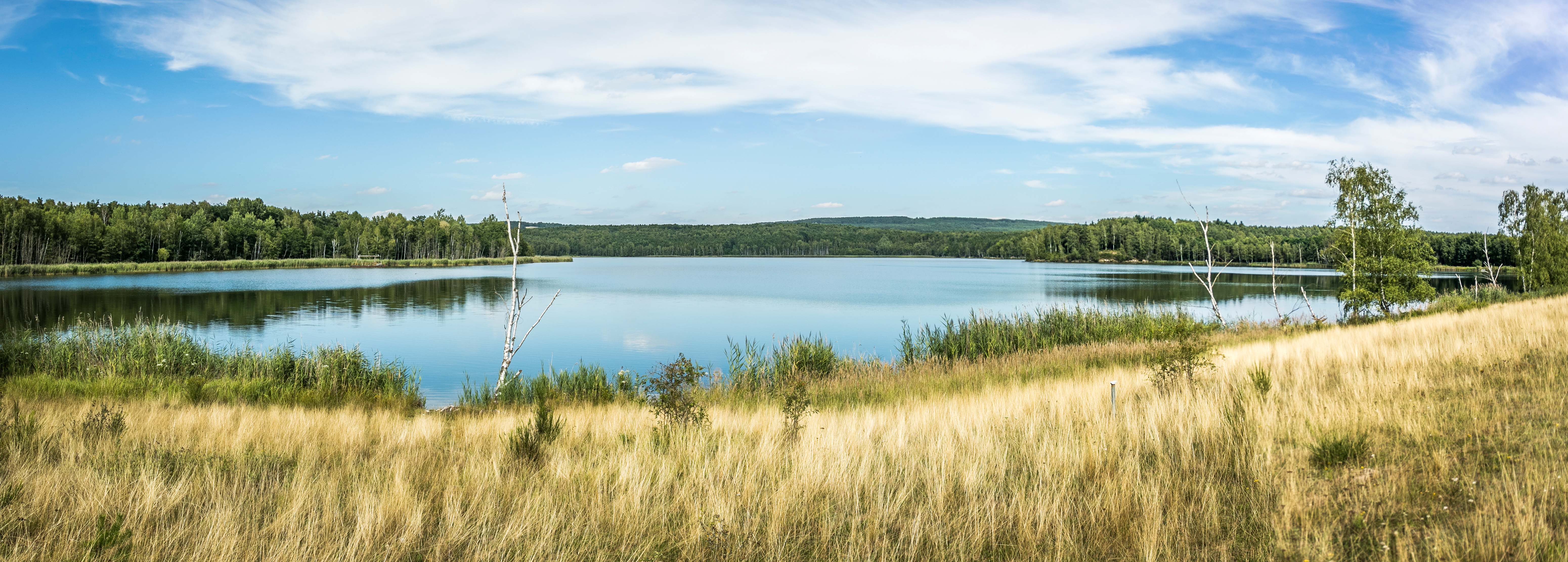 Naturschutzgebiet Charlottenhofer Weihergebiet Oberpfälzer Wald Ihr